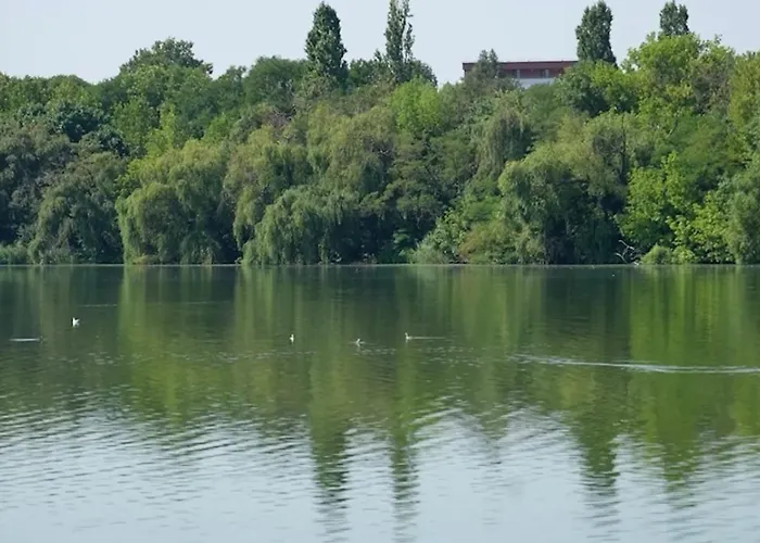 Penthouse Lebada View Appartamento Bucarest